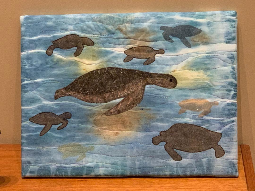 2021-02-Mary-Turtles