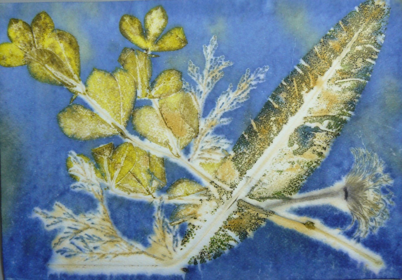 green leaves on blue background