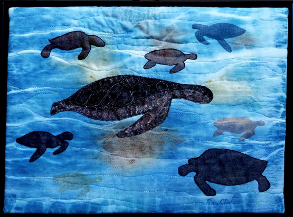 several turtles swimming underwater
